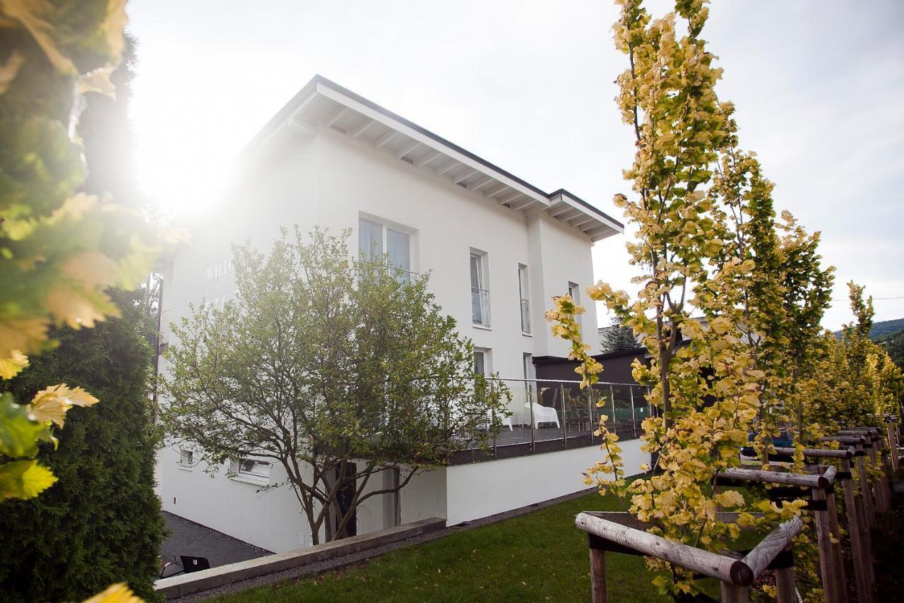 Willowa No. 5 Apartaments ヴィスワ エクステリア 写真